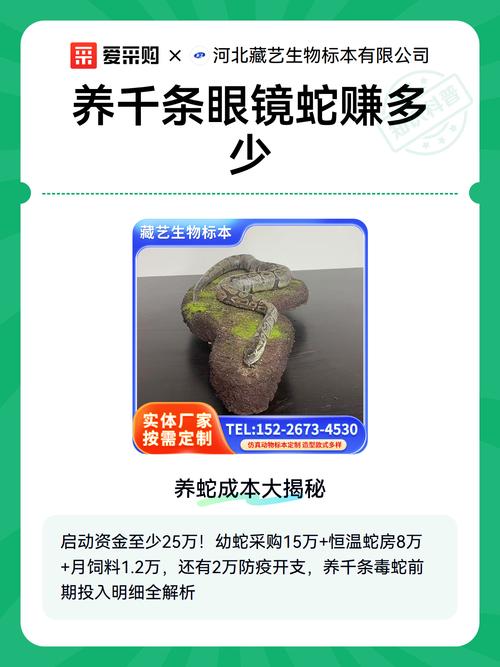 养千条眼镜蛇能赚多少钱？特种养殖 lenses下的财富与风险