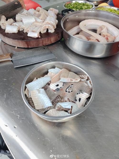 养殖眼镜蛇 体型硕大背后的真相与思考