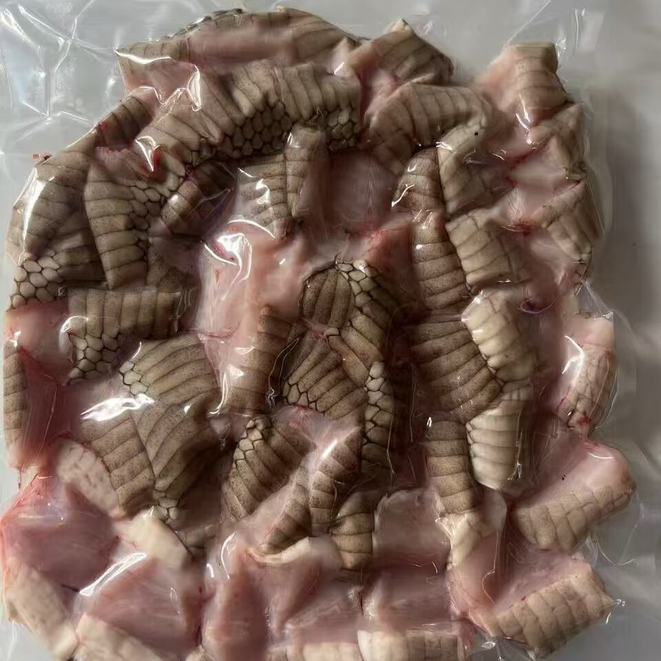 养殖肉蛇整条眼镜蛇水律蛇大王蛇泡酒煮汤新鲜现杀土蛇肉 眼镜蛇 现杀